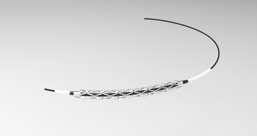 PTCA - Stent -2.19.jpg